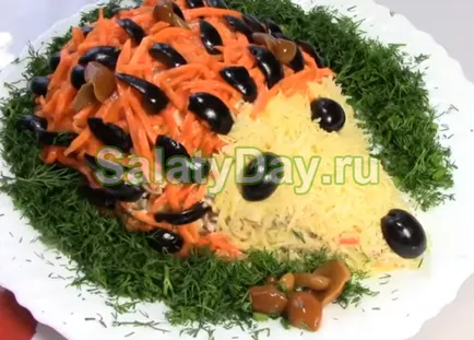 Saláta Hedgehog - az eredeti terv finom receptek fotókkal és videó