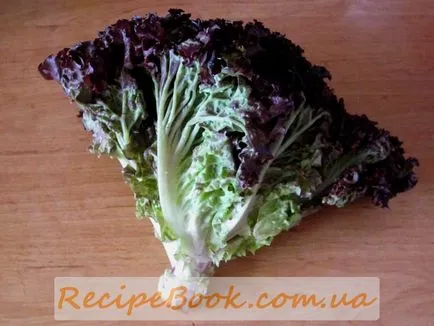 Salata verde Lollo Rossa salata Lollo Rossa beneficii, compoziția și calorii salata Lollo Rossa, blog-