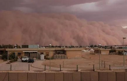 Homokvihar - homokvihar - hírek képekben