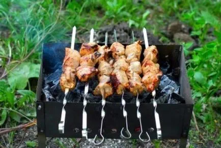 Barbecue vidéken - egy tökéletes étel a piknik