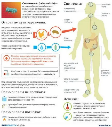 ucigași decât salmonella periculoase comestibila, foaie de ieftin mamei