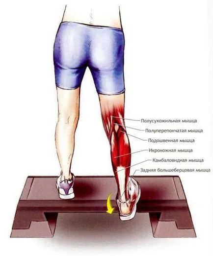 Shinsplint „sau inflamație a periostului ca un tratament, și cum nu pentru a obține maraton