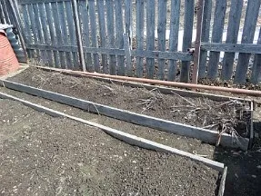 Як виростити півонії в саду на дачі (дачі) Як виростити півонії в саду на дачі