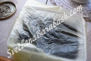 Як виростити петунію з насіння в домашніх умовах, блог Світлани Барабаш (догляд за петунією) Як виростити петунію з насіння в домашніх умовах, блог Світлани Барабаш