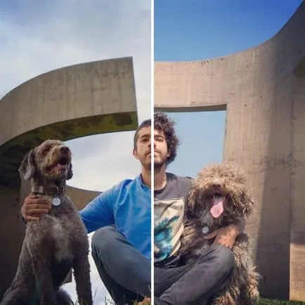 Кучета преди и след срязване (23 снимки)