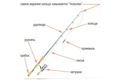 Spinning kiegészítők pontyos a technikát és a választék a csalétek