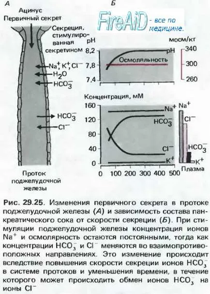 Compoziția de suc pancreatic