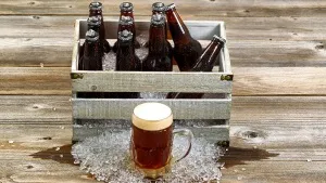 Depozitarea și stabilitatea vii și proiectul de bere în butoiașe sau într-o sticlă