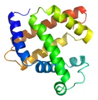 structura proteinelor