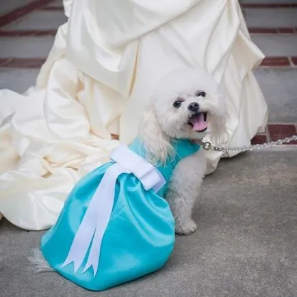 Esküvői színes fénykép Tiffany, dreambride