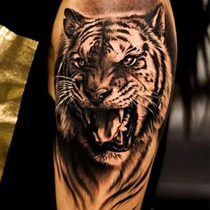 Tiger Tattoo - érték lányok és a fiúk (fotók, vázlatok)