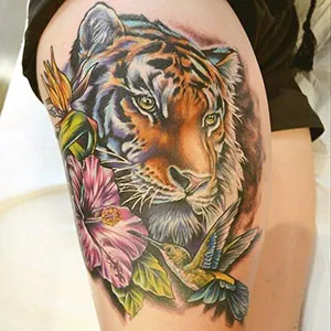 Tiger Tattoo - érték lányok és a fiúk (fotók, vázlatok)