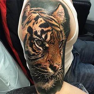 Tiger Tattoo - érték lányok és a fiúk (fotók, vázlatok)