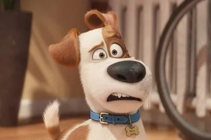 The Secret Life of Pets „, hogy a kutya agya, mozi, kultúra, érveket és tényeket