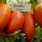 Tomate „boii inima“ - Caracteristici și descrierea soiului