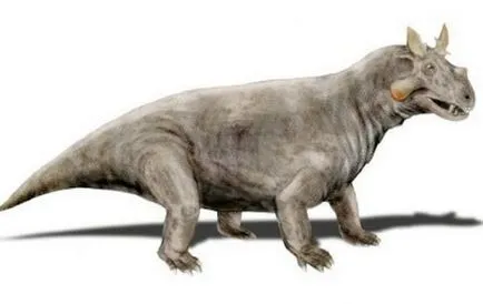 Топ 10 страшни животни, които са живели на Земята преди динозаврите
