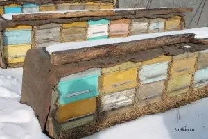 Melegítő a kaptárak a téli - szigetelni a méhek