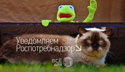 Повідомлення про початок здійснення підприємницької діяльності (здійснення) Повідомлення про початок здійснення підприємницької діяльності