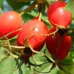 Як впливає часник на серце