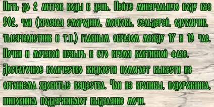 Як вивести камені з нирок - дієві методи, лікування в домашніх умовах