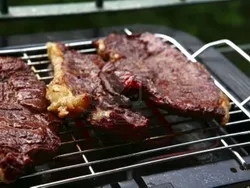 A választás rács grill, hogyan kell kiválasztani a barbecue állítható bárokban és egyéb kiegészítők
