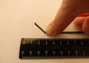 Извършване на злато rybkai стъпка по стъпка се изпълнява техниката снимка микрона