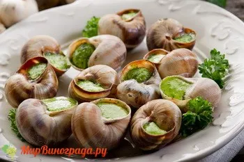 виноградний слимак