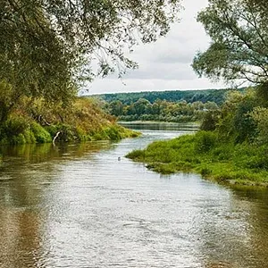 Вода - красотата на цялата природа, красотата на разбиране ~