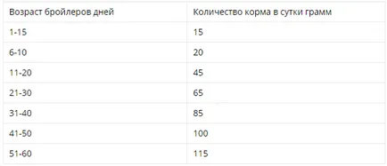 Бройлери в дома - особено поддържането и отглеждане на пилета бройлери,