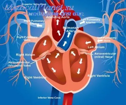 Bolile cardiace congenitale la adulți - tratamentul inimii
