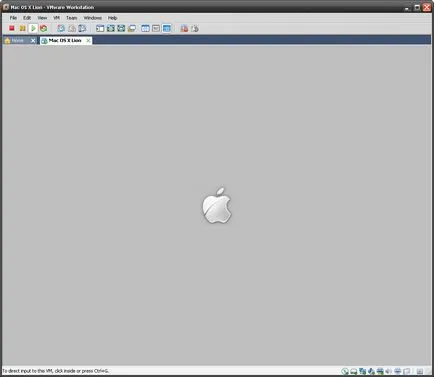 Стартиране на Mac OS X Lion във виртуална машина VMware