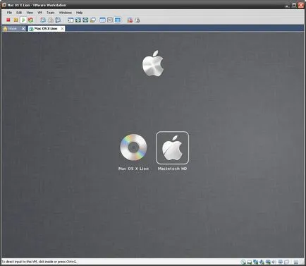 Lansarea Mac OS X leu într-o mașină virtuală VMware