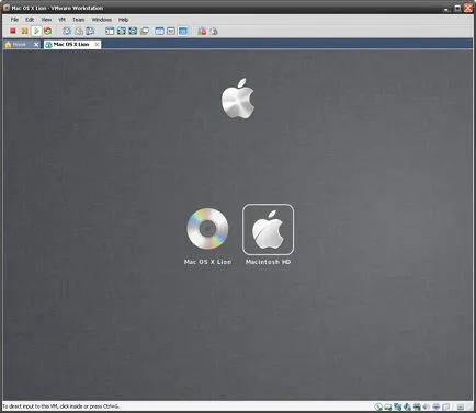 Стартиране на Mac OS X Lion във виртуална машина VMware