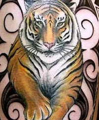 Înțeles tatuaje „tigru“