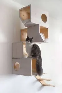 25 módja pedig egy lakást a macska Palace - kototeka - a legérdekesebb dolog a világon a macskák