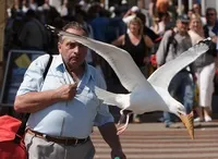 20 de fotografii minunate pe care noi nu observăm cât de uimitor de viață și lume minunata