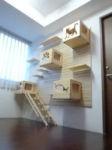 25 начина да се превърне в един апартамент на котката Palace - kototeka - най-интересното нещо за света на котките
