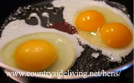 2 tojássárgáját (tojás két sárgáját, dupla sárgája)