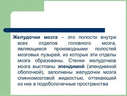 3 мозъка размер камера при възрастни и деца и функции, патология