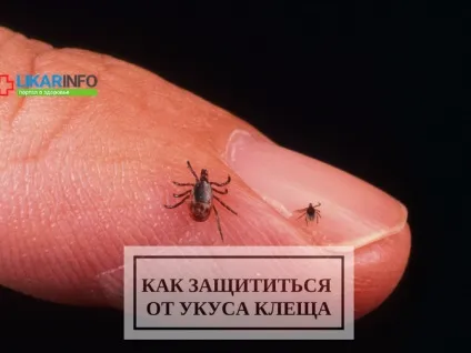 Як захиститися від укусів (укусів) Як захиститися від укусів