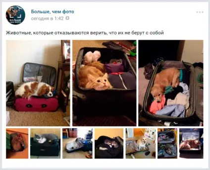 Картинки для групи в вк де краще шукати і як використовувати (використовувати) Картинки для групи в вк де краще шукати і як використовувати