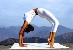 Ardha chakrasana ( 