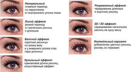 Знаете ли, че leshmeyker - професионален майстор мигли, Ръководство за красота