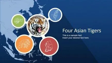 Asian Tiger „- numele informal al economiilor din Coreea de Sud, Singapore, Hong Kong și Taiwan