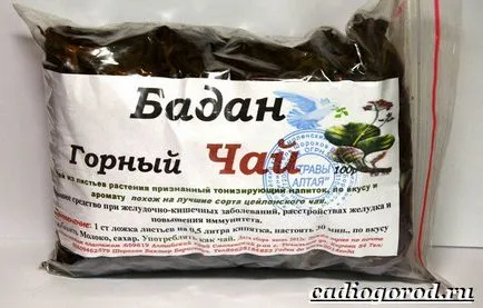 Badan завод