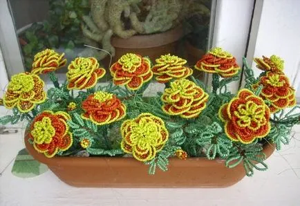 Tagetes схема топчета тъкане и видео семинари