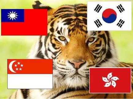 Asian Tiger „- a hivatalos neve a gazdaságok Dél-Korea, Szingapúr, Hong Kong és Tajvan