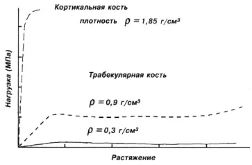 Материалознание и биомеханичните свойства на костната тъкан - Свойствата на костите - хирургия и