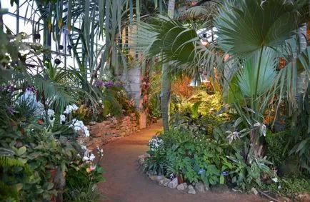 Grădina Botanică de la Universitatea de Stat din Moscova „Apothecary Garden“