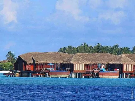 Бунгало в Малдивите - всичко, което трябва да знаете за останалите в бунгала в Малдивите (цена и